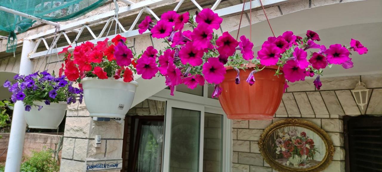 Apartments 1000 Flowers Stari Grad  Extérieur photo