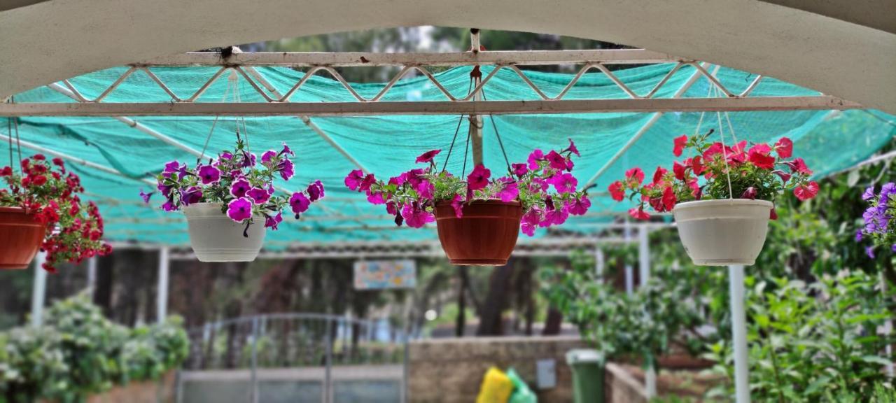 Apartments 1000 Flowers Stari Grad  Extérieur photo