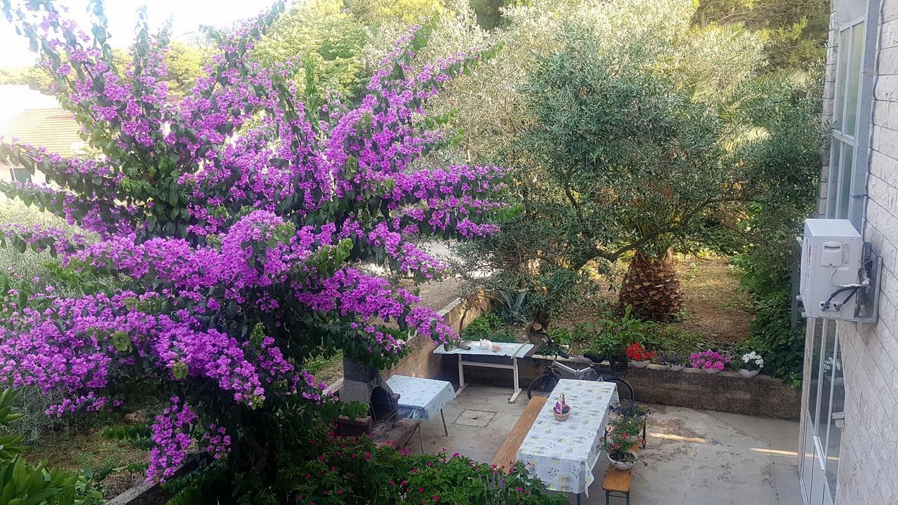 Apartments 1000 Flowers Stari Grad  Extérieur photo